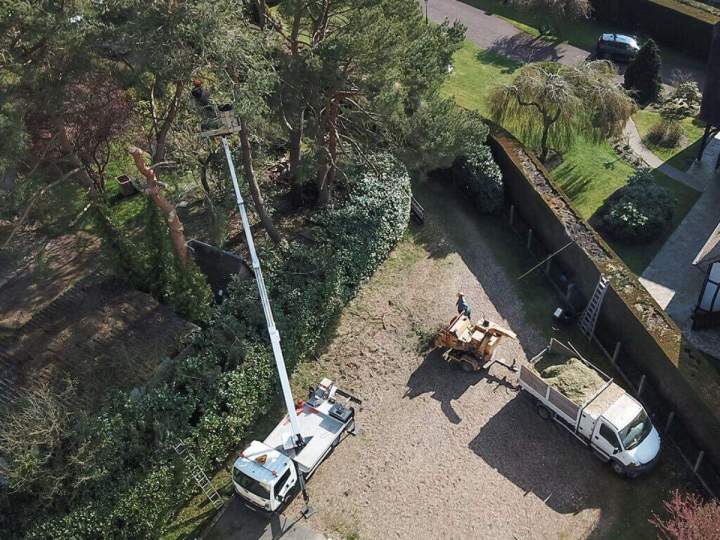 Opération abattage arbres Beauvais
