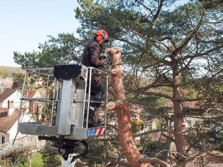 Travaux d'abattage d'arbre Beauvais