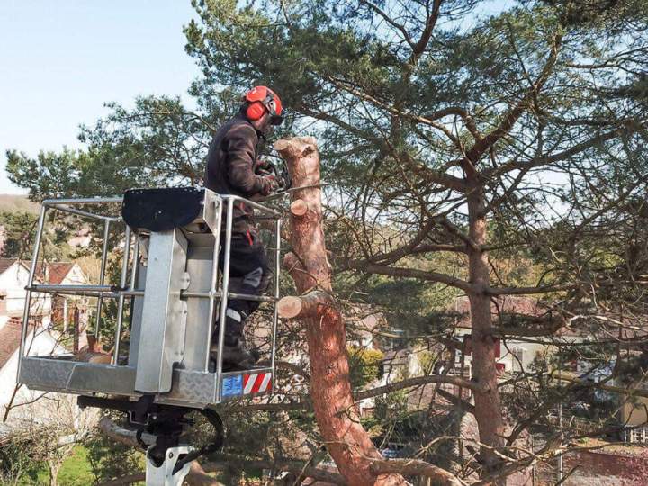 Adressez-vous à nos élagueurs rigoureux pour abattre un arbre en toute efficacité à Beauvais.