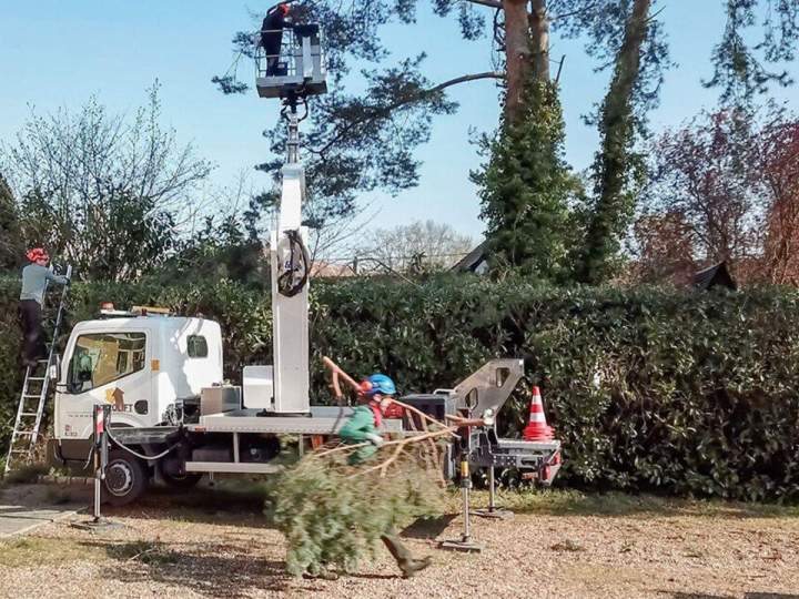 Abattage d'arbres en toute sécurité Beauvais