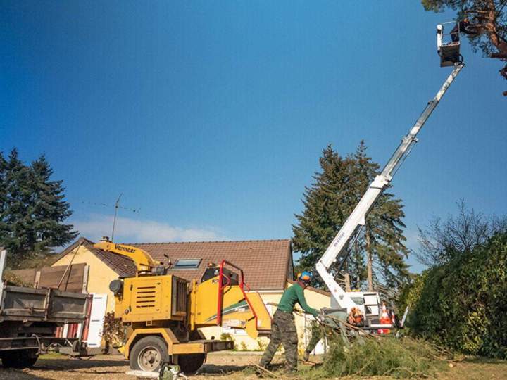 Abattage arbre par un professionnel Beauvais
